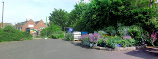 Benwell Nature Park, Newcastle upon Tyne. June 2013