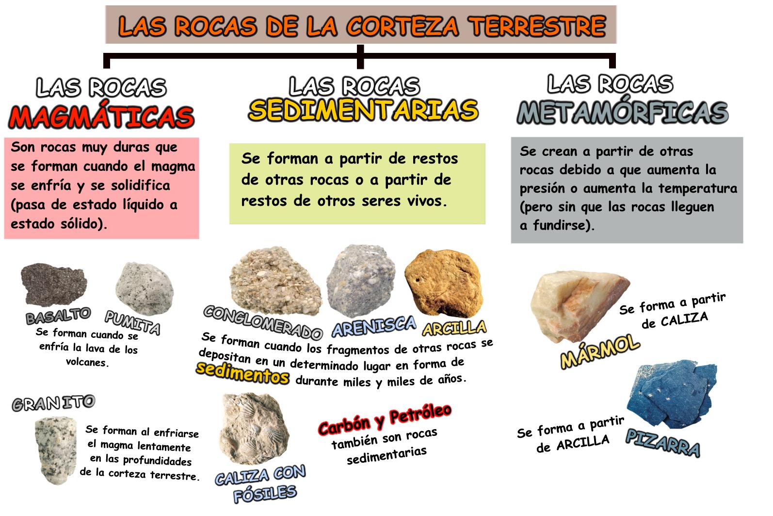 formacion de piedras y fosiles descripción básica de las rocas