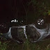 Veículo capota na estrada entre Carrapateira e São José de Piranhas deixando três pessoas feridas na madrugada deste sábado