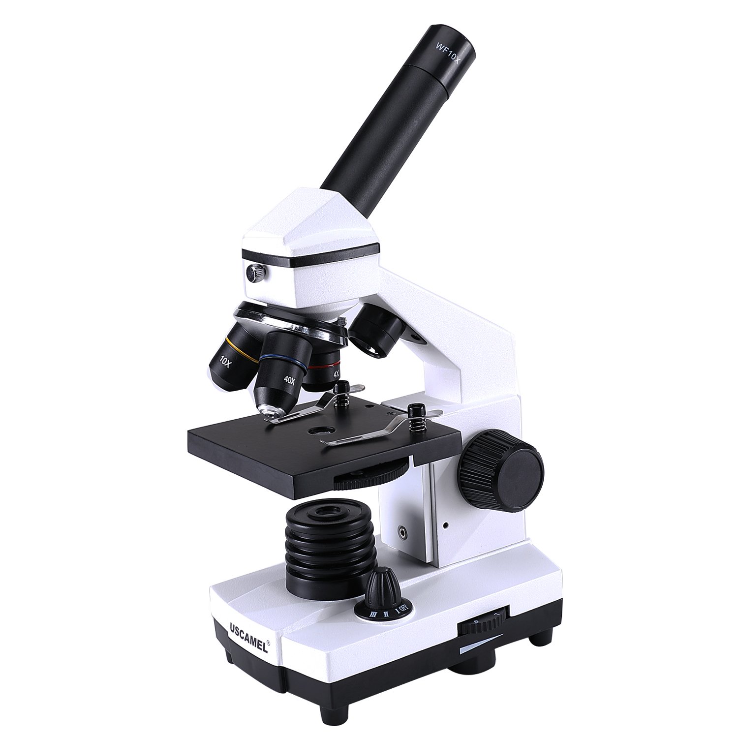 PARTES DE UN MICROSCOPIO PURO TIP Artículos, Masters y Cursos PARTES DE UN MICROSCOPIO PURO TIP Artículos, Masters y Cursos
