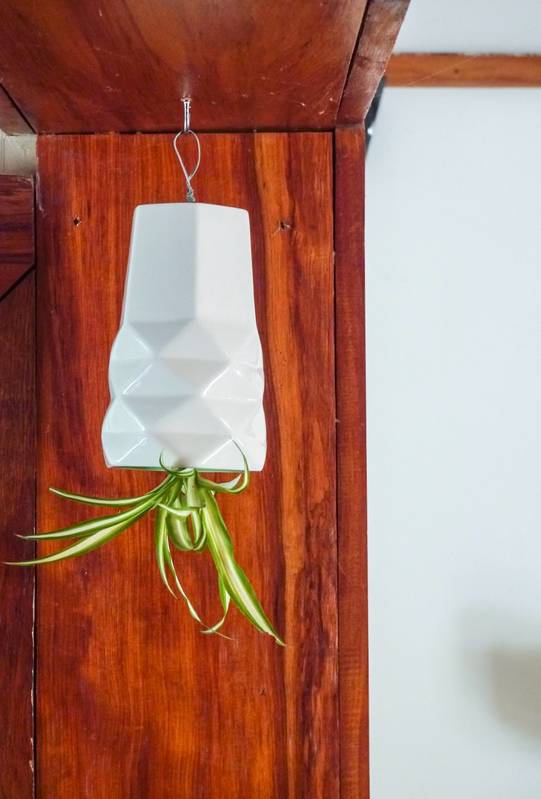 StickyBird Upside Down Planter Tutorial