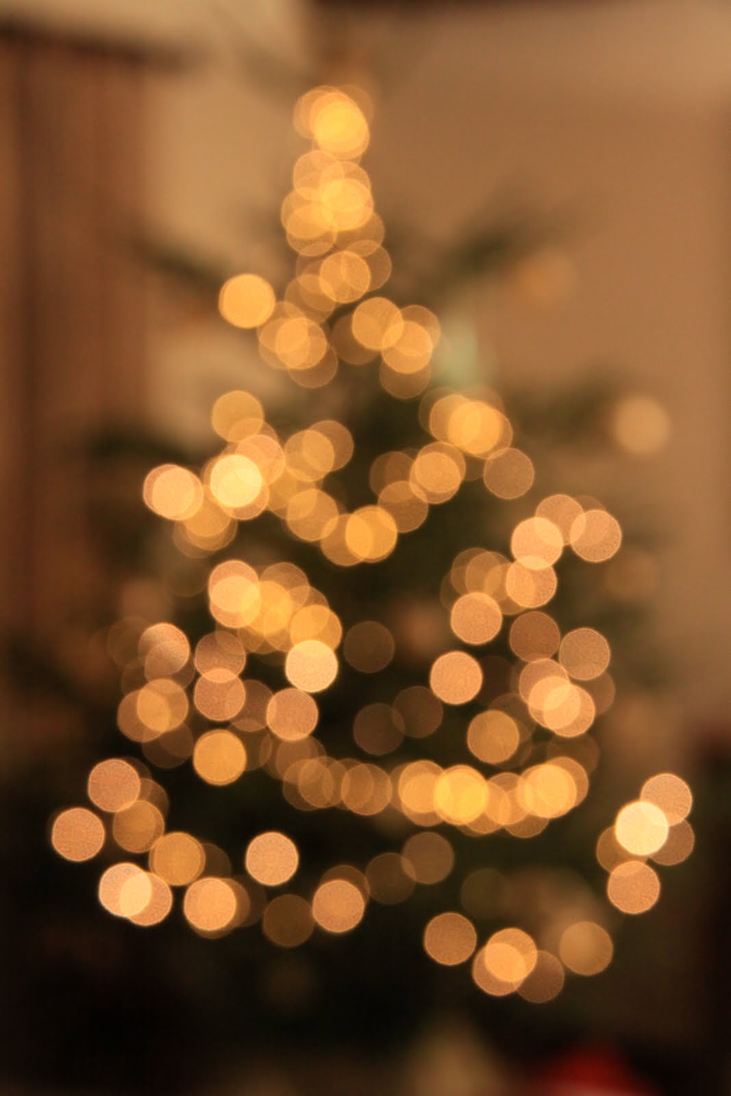 Die Juniordiplomaten der Deutschen Botschaft Brüssel: Frohe Weihnachten