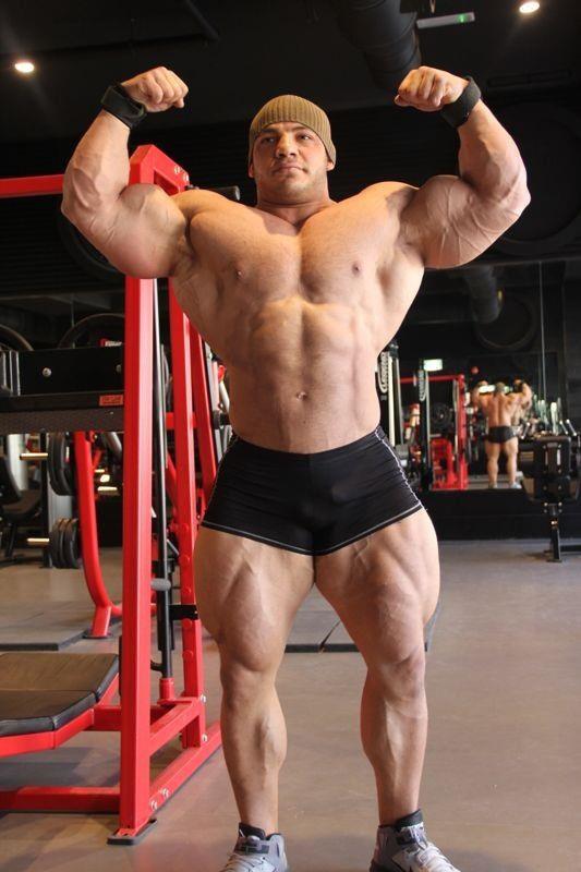 Big Mamdouh "Ramy" Elssbiay 14 out IFBB New York Pro 2013
