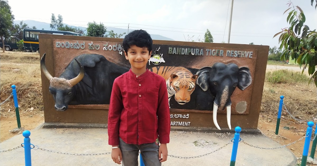 Bandipur National Park & Tiger Reserve Safari