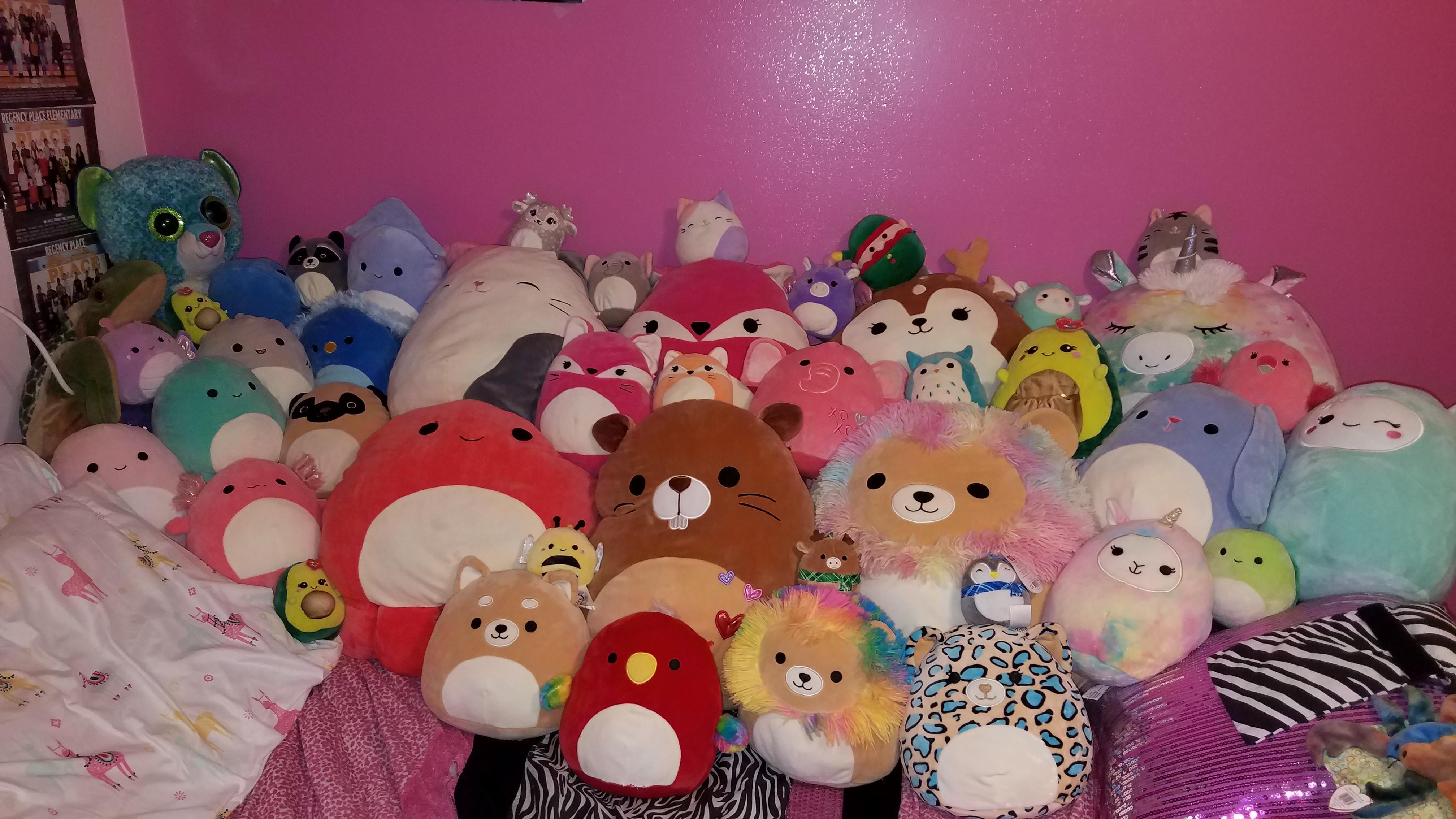 Benton Family October 25th (Squishmallows!)