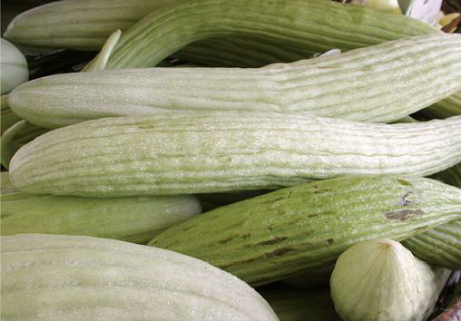 bulmaca bil nisan 2020 bulmaca bil nisan 2020