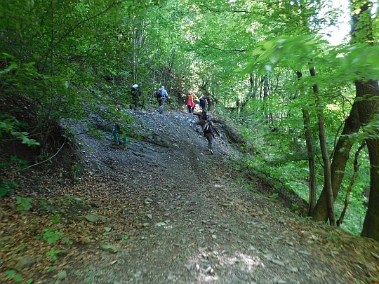 Najbardziej stromy fragment szlaku na zboczu Kozubnika.