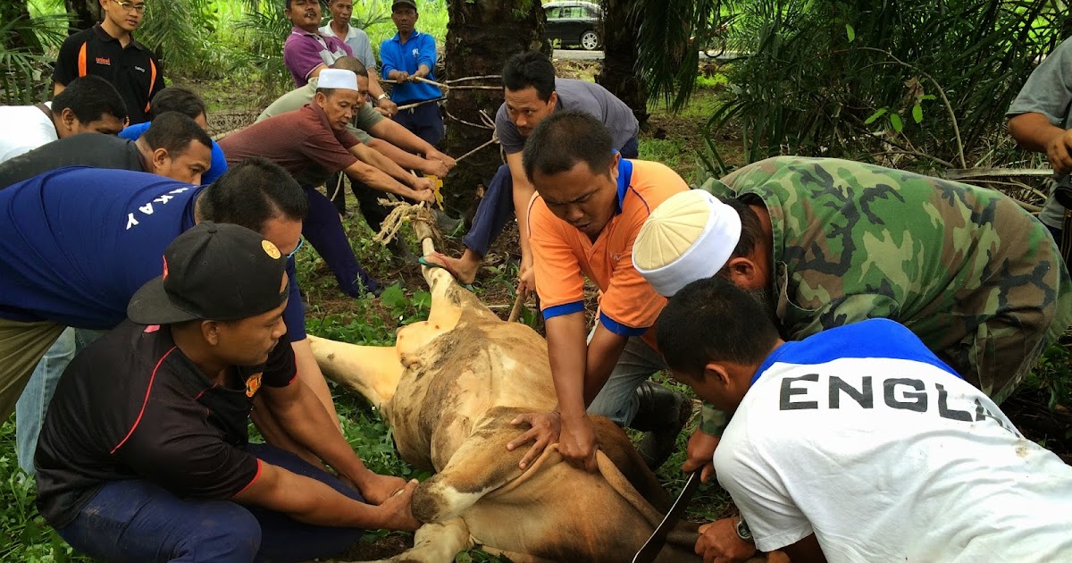 Ada Cerita Tentang Aku Dan Dia Chord Gitar Kabar Click