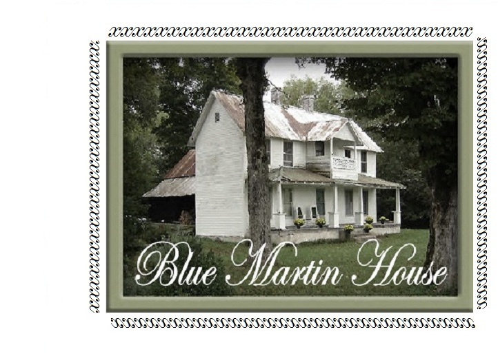 blue martin house