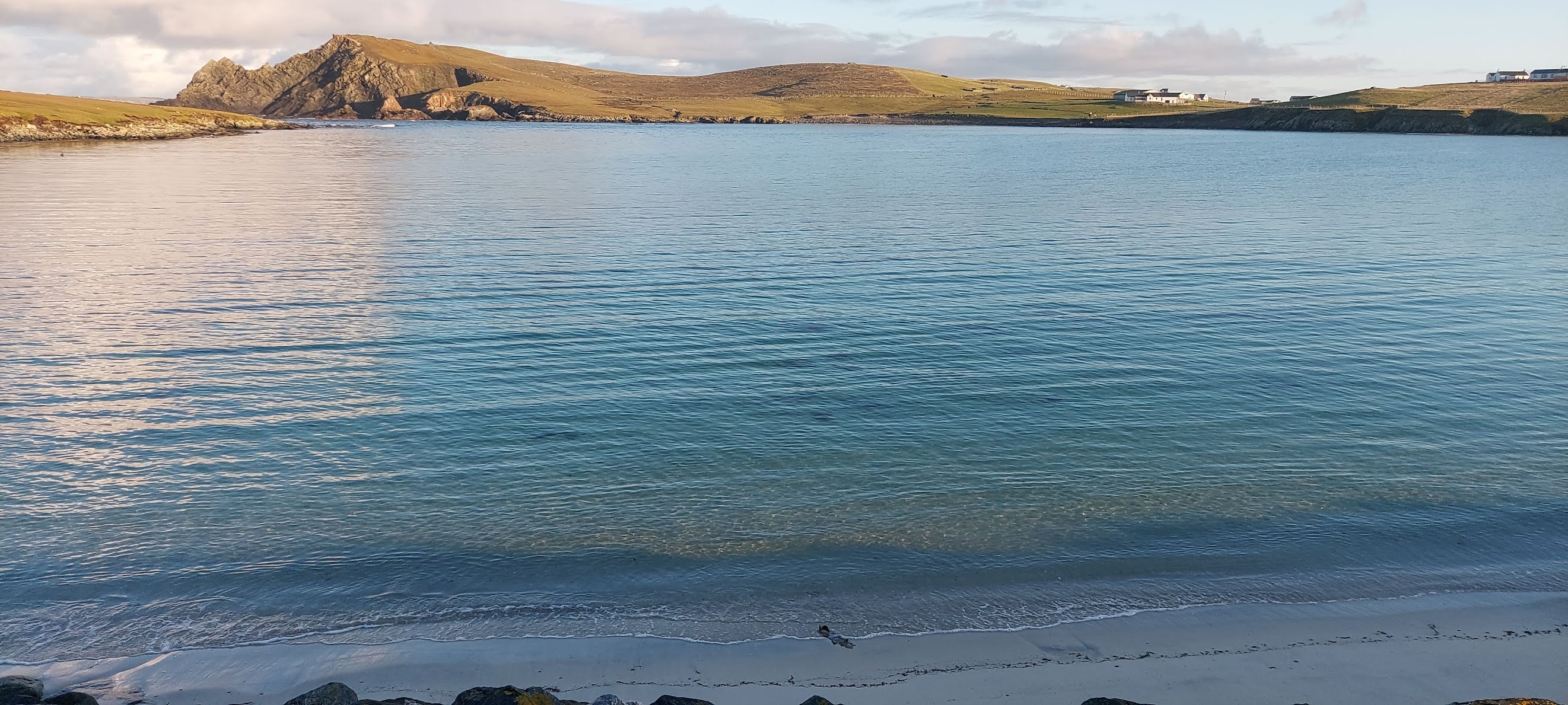 Mark James Pearson Shetland, '21 Scenes