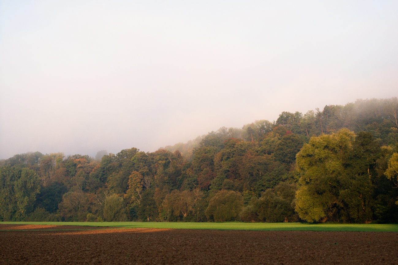 Herbststimmung