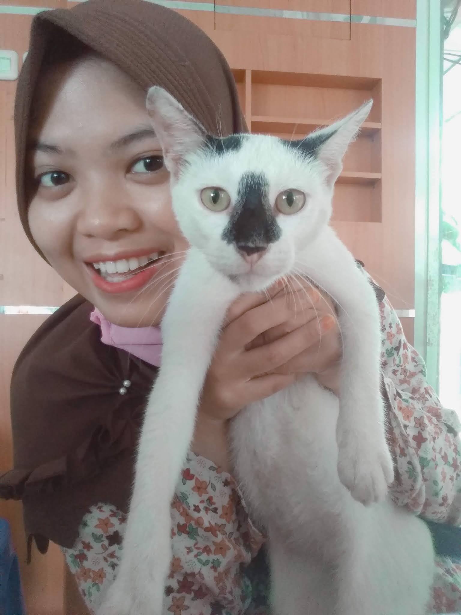 WHAT KINDS OF FOOD THAT CAT CANT EAT - Rahma's World