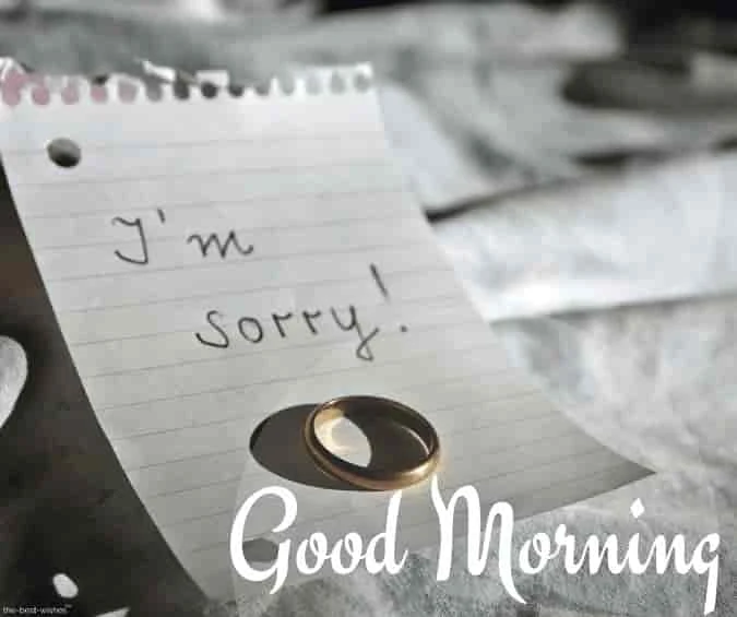i m sorry good morning image