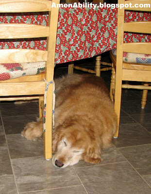 AmenAbility Under the Table and Dreaming