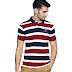 Peter England Men's Plain Slim Fit Polo