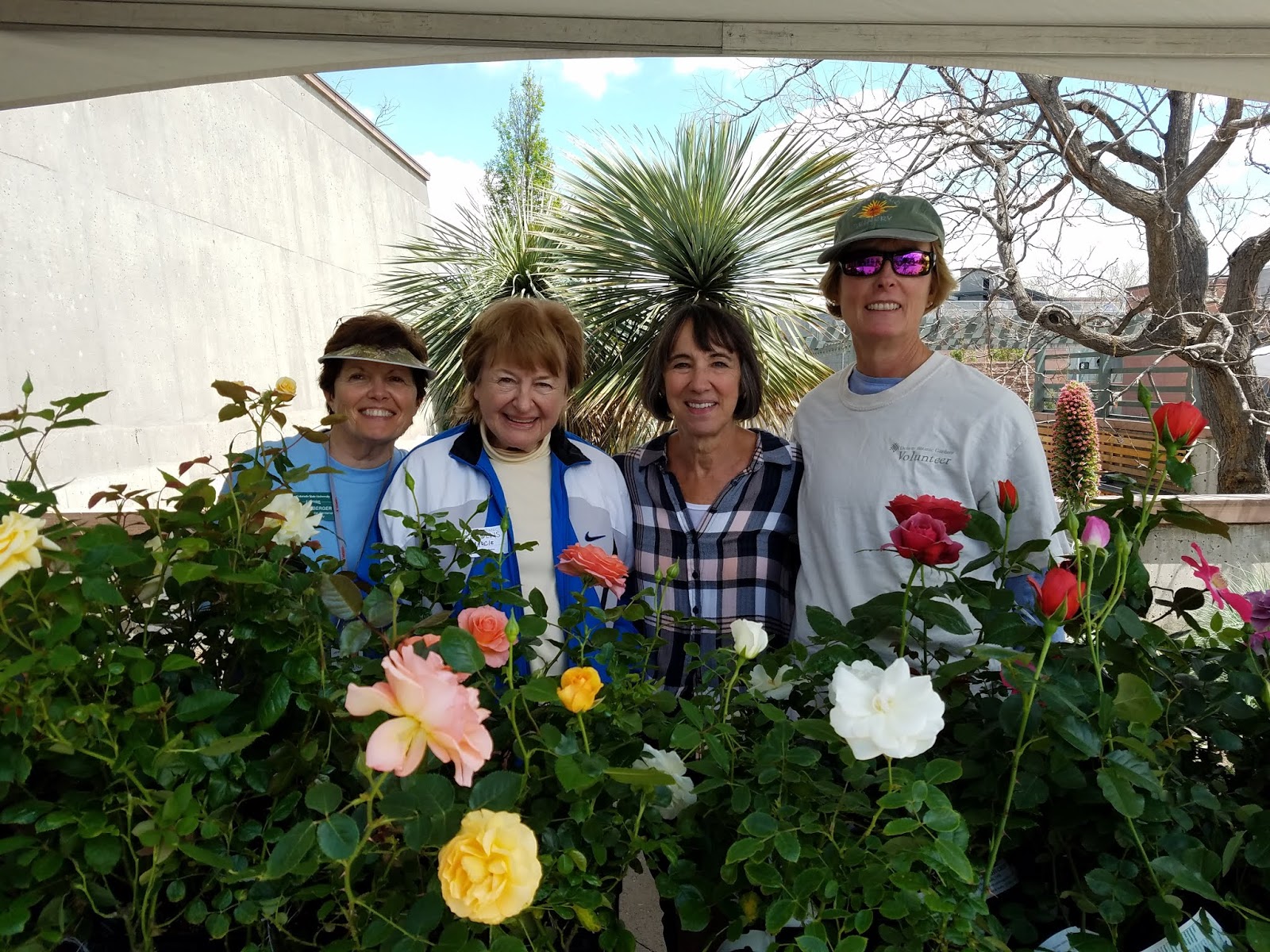 Colorado Garden Punch List Front Range Plant Sales 2019 Not To Be Missed