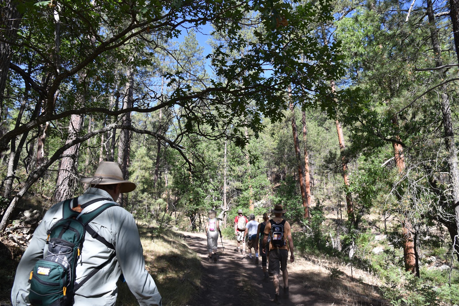 Arizona Hiking PIVOT ROCK CANYON & WILDCAT SPRING