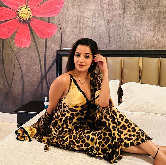 Bhojpuri sizzler Monalisa's sensational picture will blow your mind