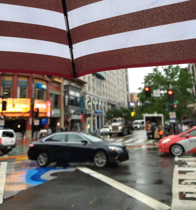 Travel A Very Rainy Weekend In Washington DC Beaumiroir