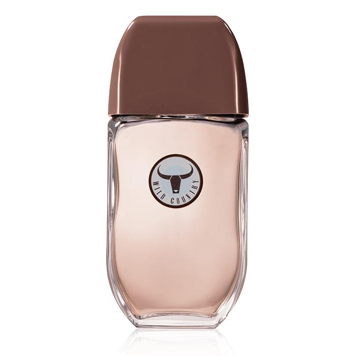 The New Avon Catalog Avon Catalog 22 Wild Country Cologne 10.99