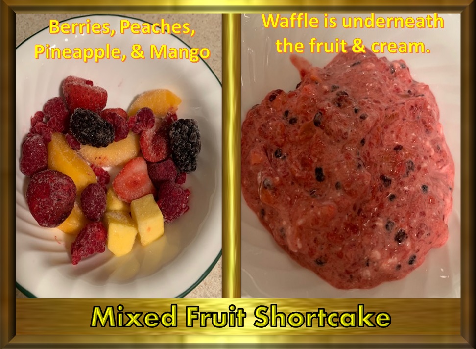 Animal, Nature, and Travel Tastebud Journey MixedFruit Shortcake
