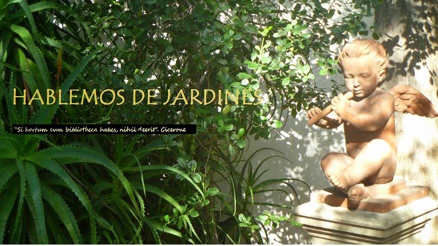 HABLEMOS DE JARDINES