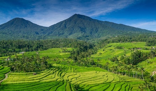 Soal Dan Pembahasan Uji Kompetensi 2 Ipa Kelas 7 Bab Interaksi Makhluk Hidup Dengan Lingkungan Kedai Mipa