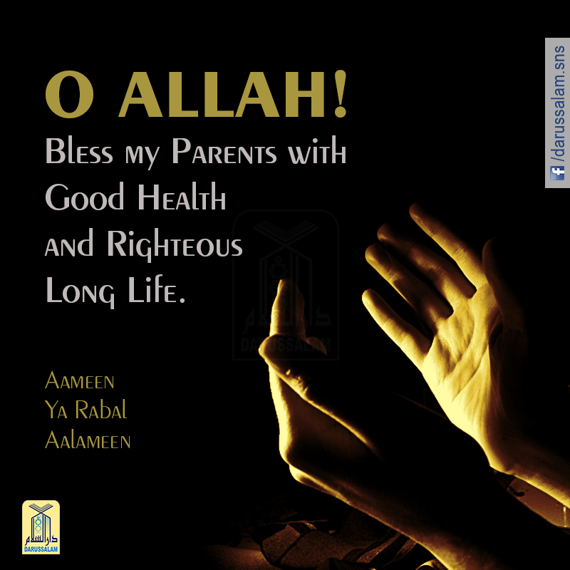 Whatsapp Status Qurani Ayat Download Ayat of quran whatsapp status