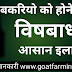 Goat Poisoning Treatment in Hindi