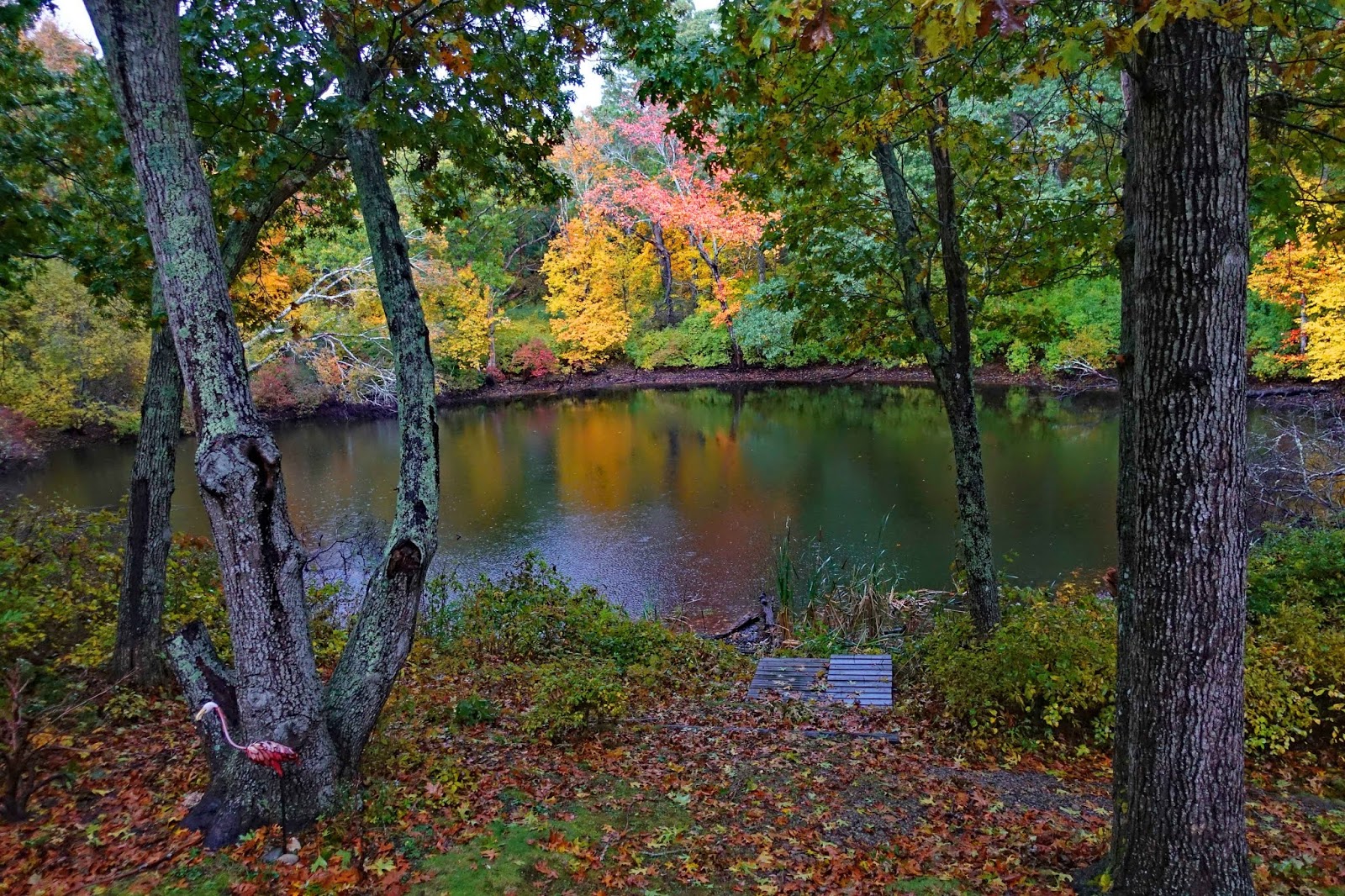 Joe's Retirement Blog Fall on Rabbit Pond, Manomet, Plymouth