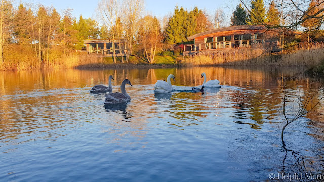 Brompton Lakes Luxury Lodges