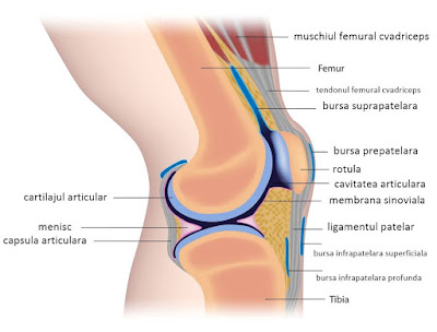 Coloanei vertebrale de compresie