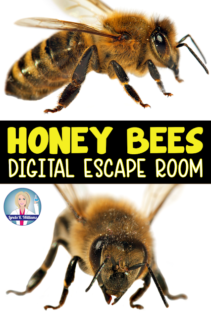 Distance Learning Escape Room on the Honey Bee