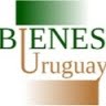 Bienes Uruguay