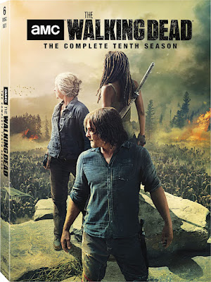 Walking Dead Season 10 Dvd