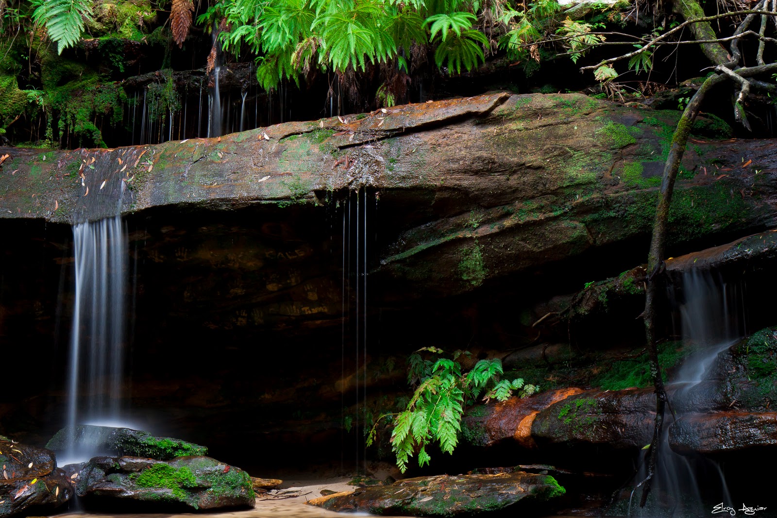 A View From The Lens Marge, Marge, the rains are here