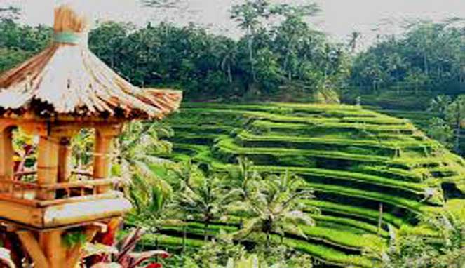 10 Desa Wisata Terbaik Di Indonesia Ini Wajib Dikunjungi | Explore