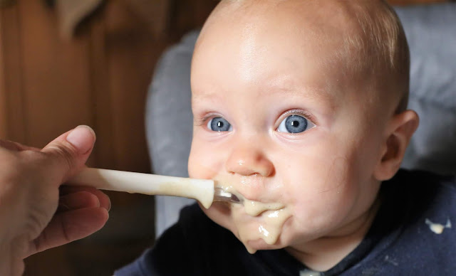 Homemade Baby Food