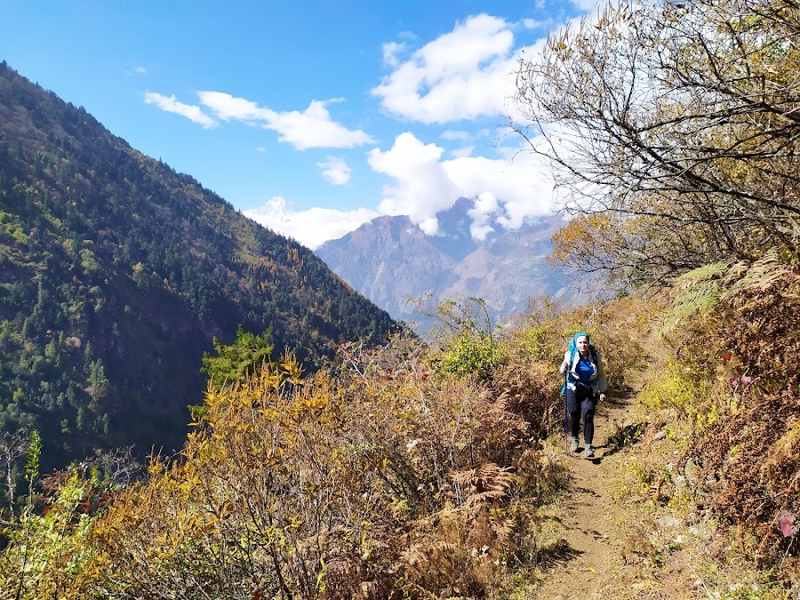 По долине Цум и вокруг Манаслу не галопом, ноябрь 2019.