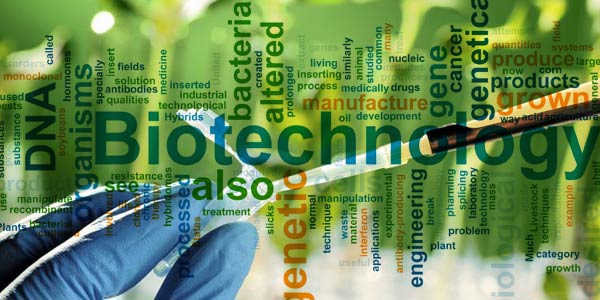 Prinsip Prinsip Dasar Bioteknologi Pelajar Kutu Buku