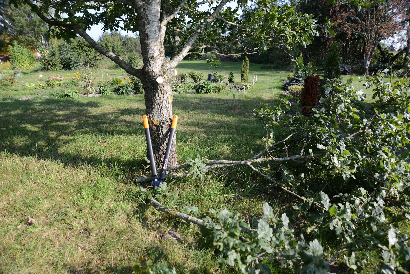 Mit grønne univers FISKARS grensaks Powergear L78