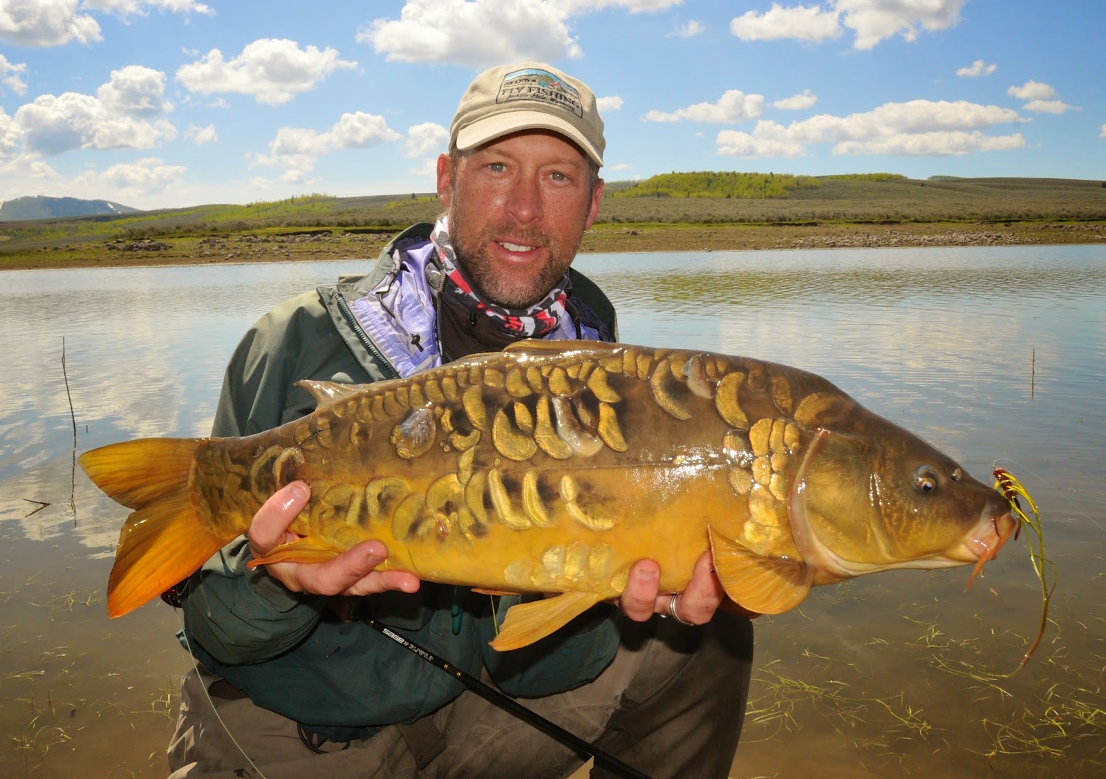 Jackson Hole Fly Fishing Chronicles Scott Smith