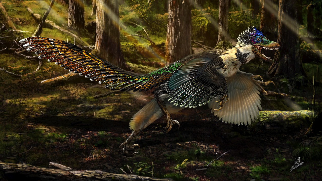 The Coracle "sermo liber vita ipsa" "How do we know what dinosaurs