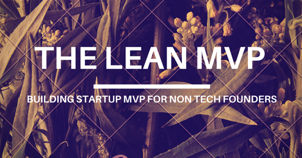 Build Startup MVP For Non Tech Founders : Lean MVP Idea