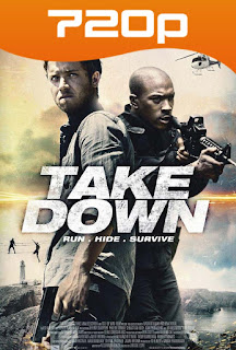 Take Down (Billionaire Ransom) (2016) HD 720p Latino 