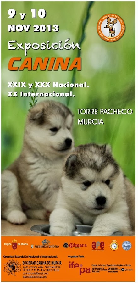 Foto Especial Nordicos Exposicion Canina Nacional e Internaciona en Murcia