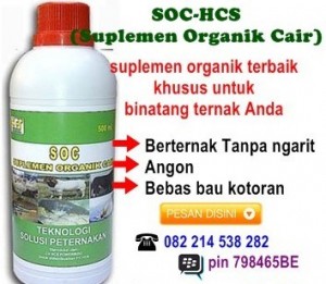 SOC - HCS