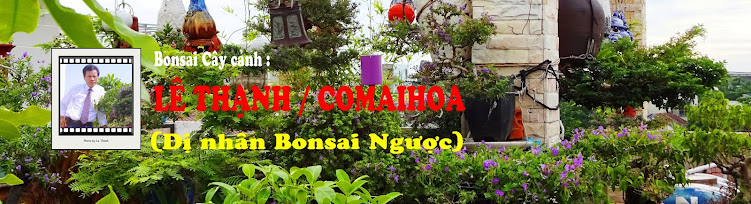 Lê Thạnh - Kỷ lục gia - Dị nhân Bonsai Ngược