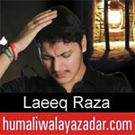 https://humaliwalaazadar.blogspot.com/2019/08/laeeq-raza-nohay-2020.html