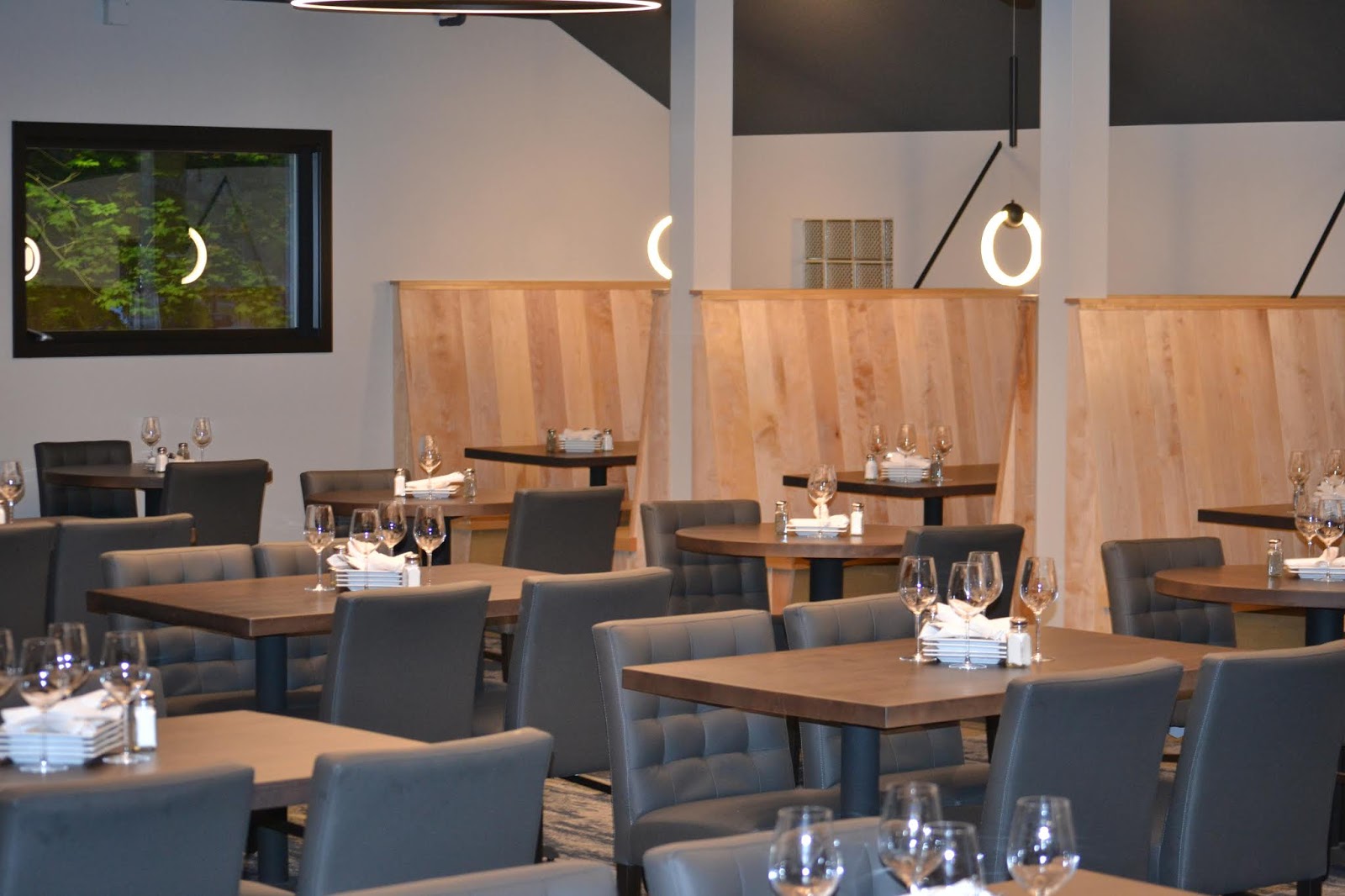 Shoreline Area News The Aurora Borealis shines in Shoreline